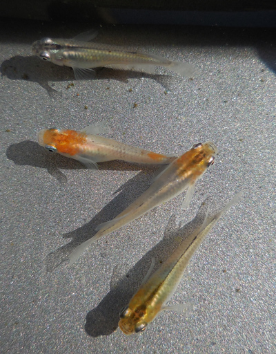 e0097534_10565543.jpg