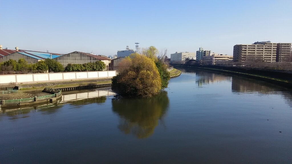 舟渡水辺公園 板橋区 12月24日 猫好き写真館