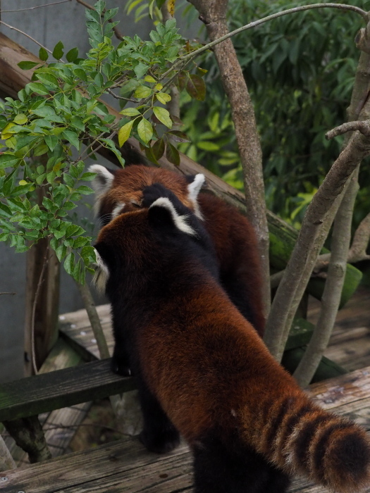 a0149740_06214789.jpg