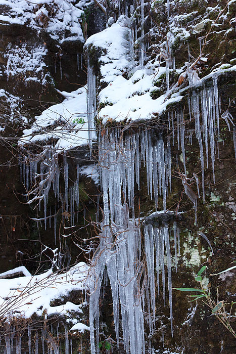 冬の一日　～氷ノ山～_c0067040_18325892.jpg