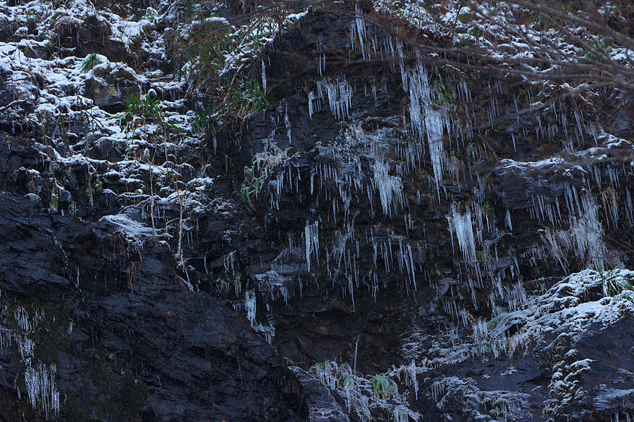 冬の一日　～氷ノ山～_c0067040_18331531.jpg