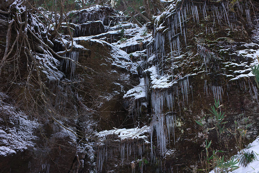 冬の一日　～氷ノ山～_c0067040_18332773.jpg