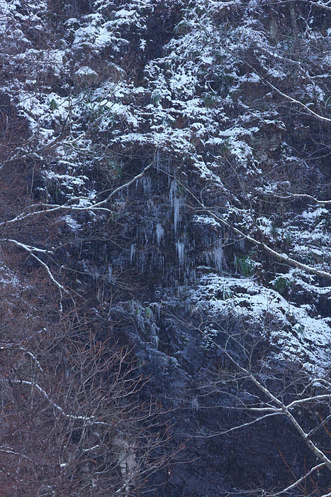 冬の一日　～氷ノ山～_c0067040_18340319.jpg