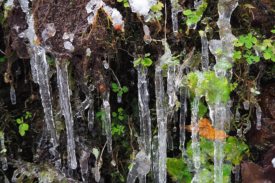 冬の一日　～氷ノ山～_c0067040_18342499.jpg