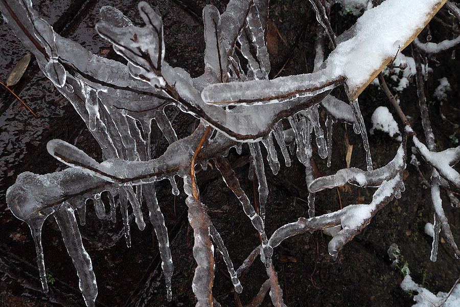 冬の一日　～氷ノ山～_c0067040_18343121.jpg