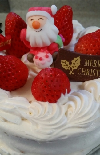 わんこのXmasケーキとXmasディナー_a0333152_22514243.jpg