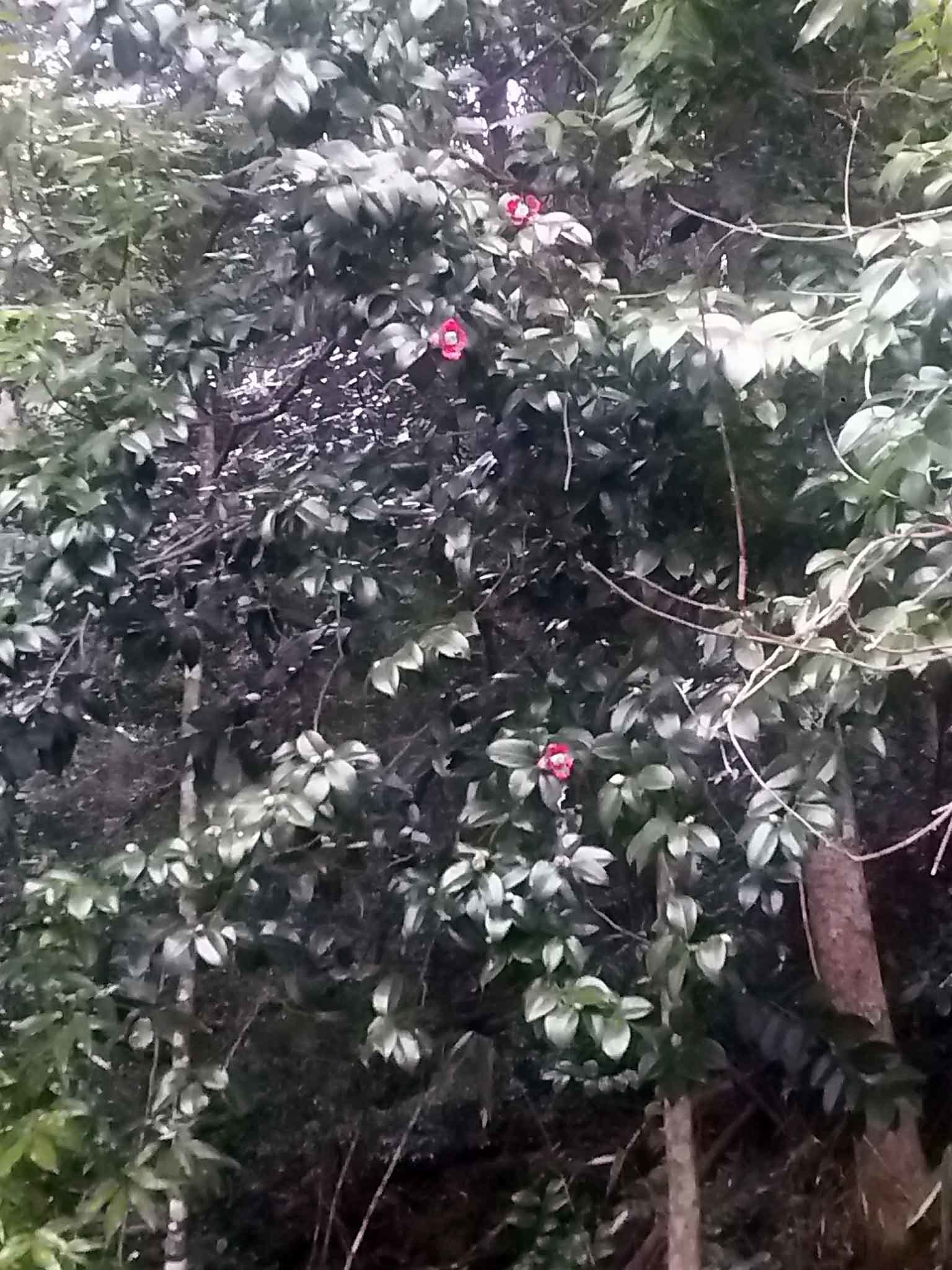 b0214652_17284932.jpg