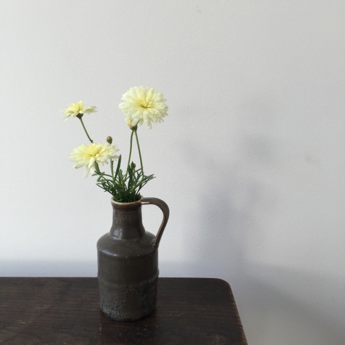 「Fleurs et de la poterie ー花と陶器ー 内山太朗 小菅幸子 二人展」終了しました。_e0060555_11174463.jpg