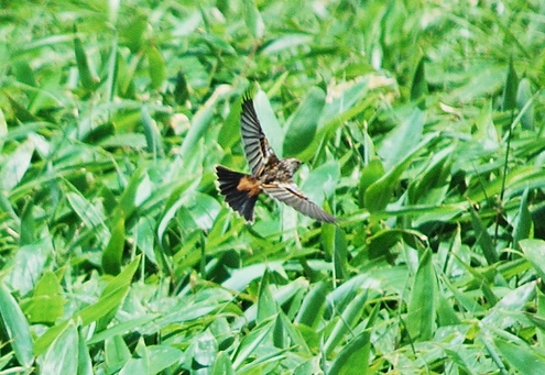 f0161757_214274.jpg