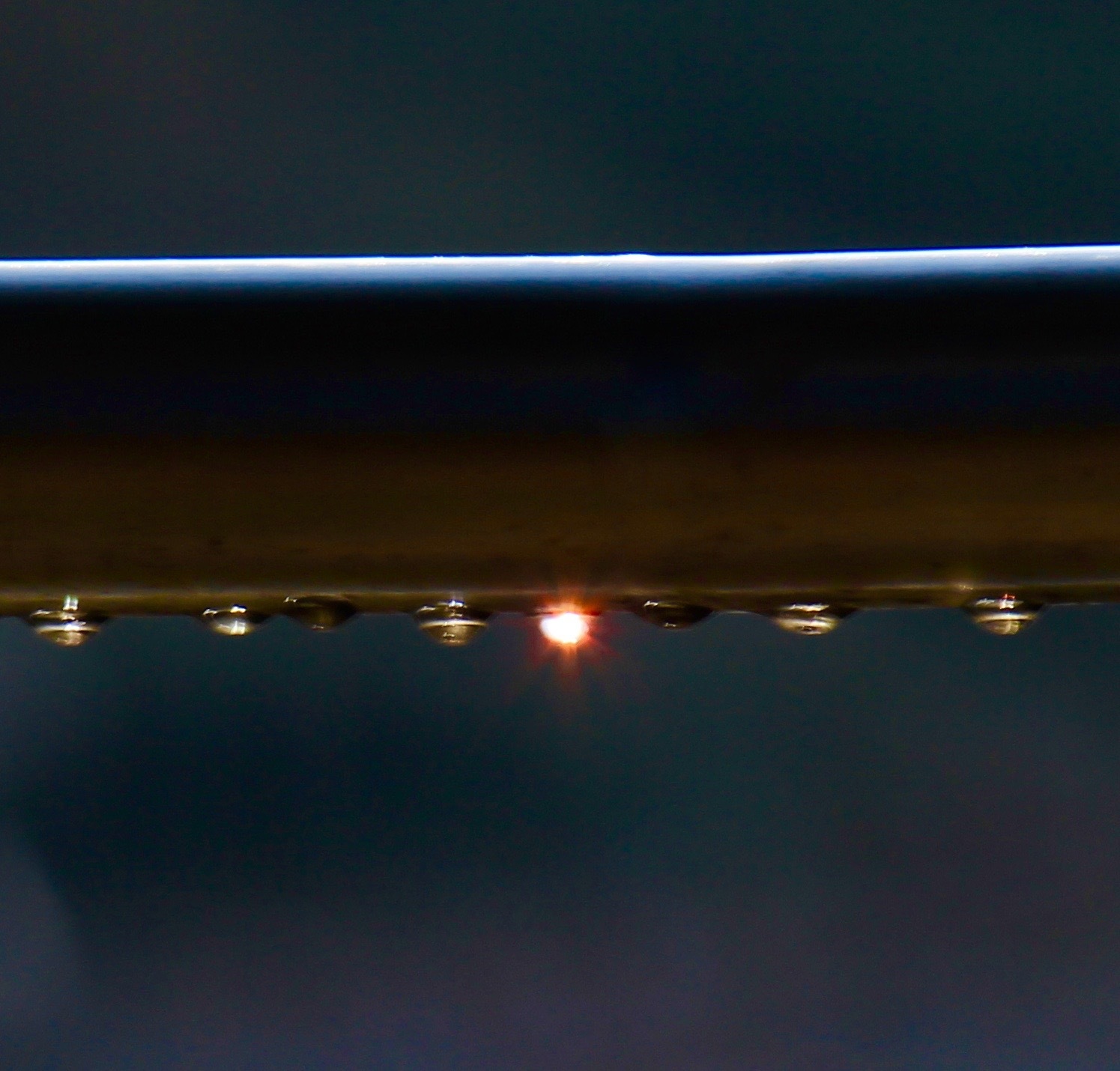 a0248459_15592960.jpg