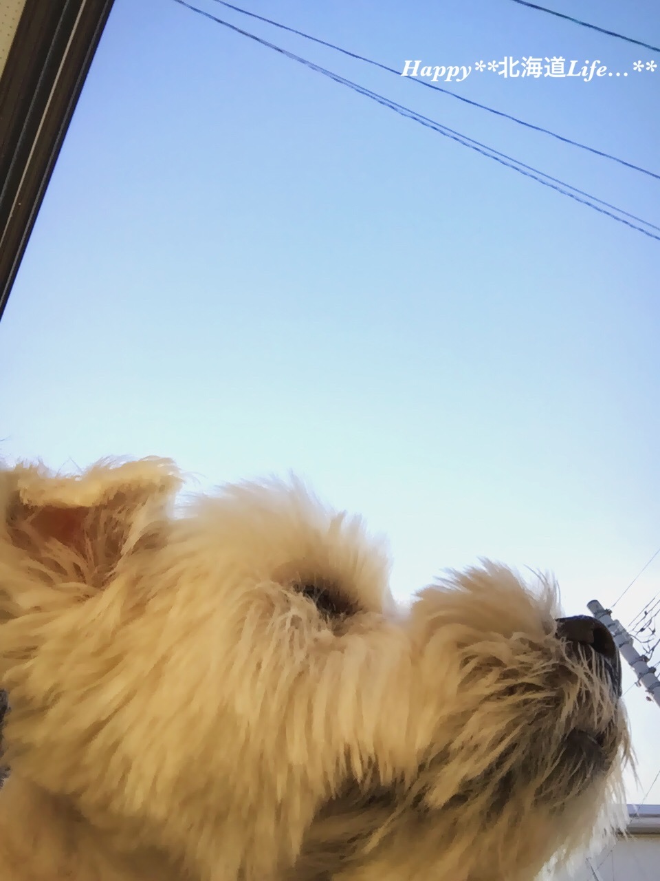 a0337860_22494406.jpeg