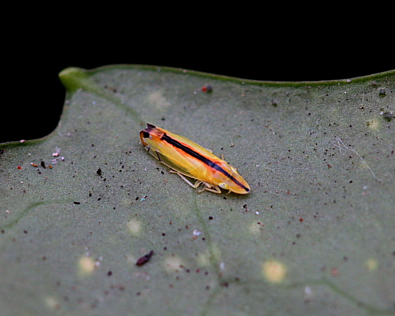 c0305565_17273348.jpg