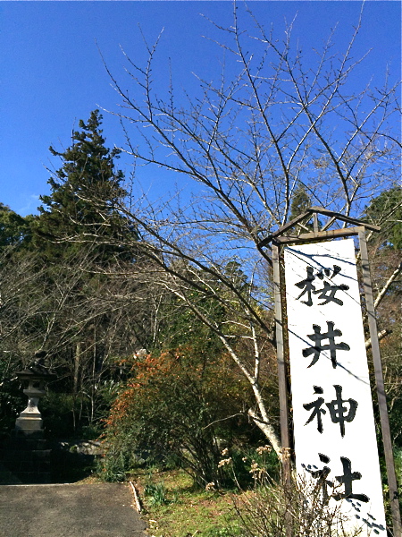 d0226565_12313969.jpg