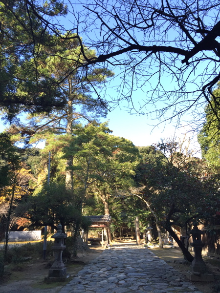 d0226565_12314491.jpg