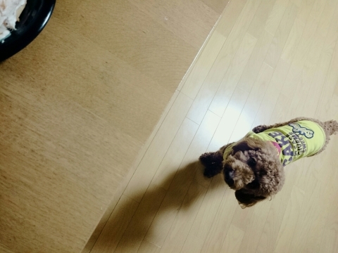 c0311170_22105952.jpg