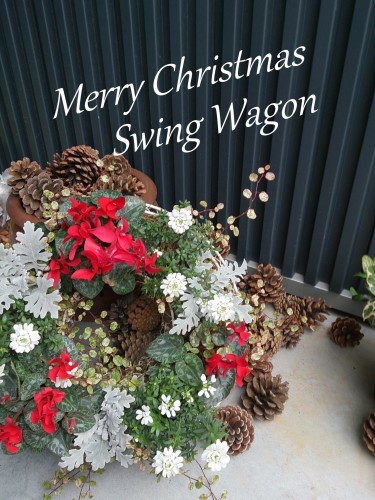クリスマスからお正月に使える寄せ植え Swing Wagon