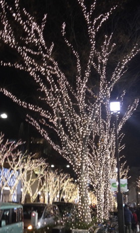 Merry x\'mas_f0061394_18401530.jpg