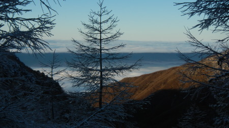 雪景色の朝_e0120896_07535154.jpg