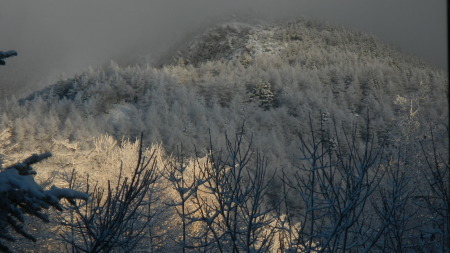 雪景色の朝_e0120896_07541476.jpg