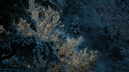 雪景色の朝_e0120896_07542936.jpg