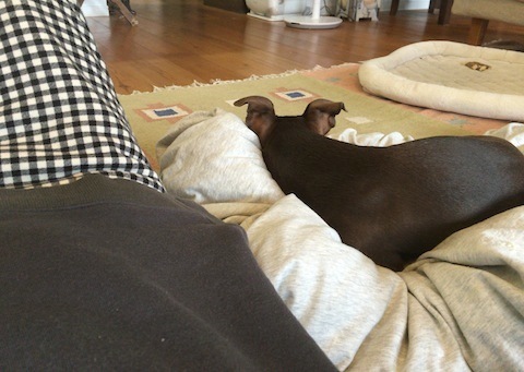 d0343297_19205170.jpeg