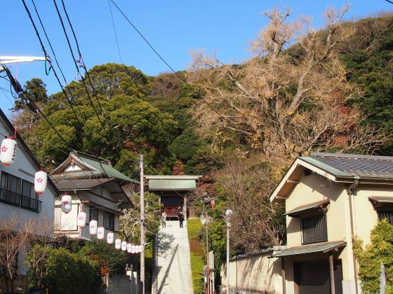 荏柄天神社の寒紅梅が咲き始めました！(2015.12.25)_e0245404_19122669.jpg