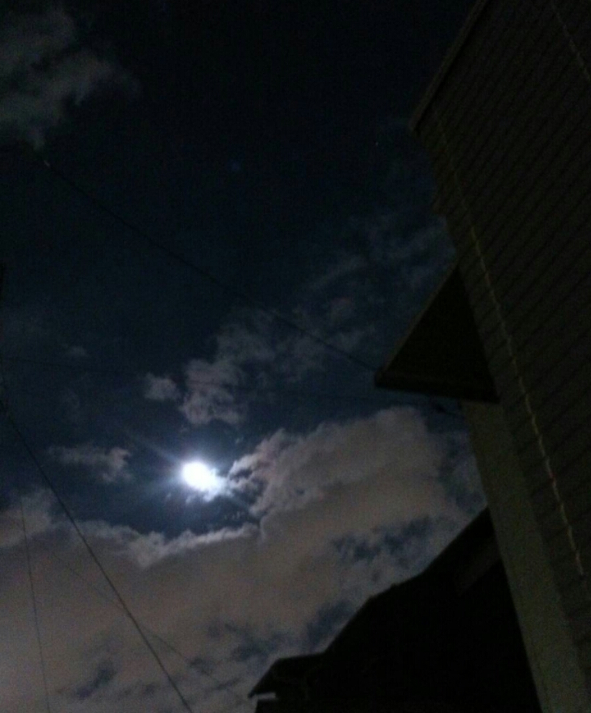 b0314807_22274527.jpg