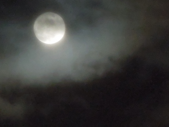 f0297809_2149914.jpg