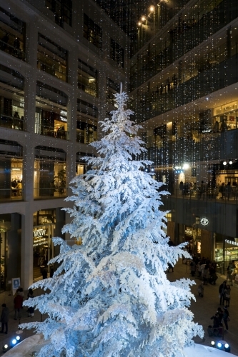 e0340011_13355709.jpg