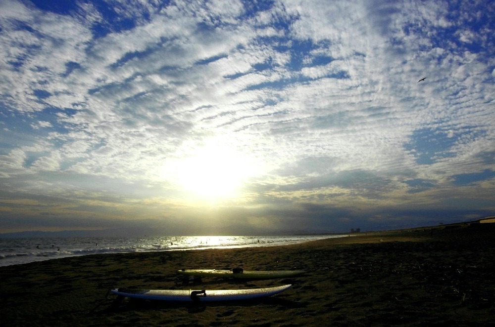 湘南お気に入り_c0352813_08370676.jpg