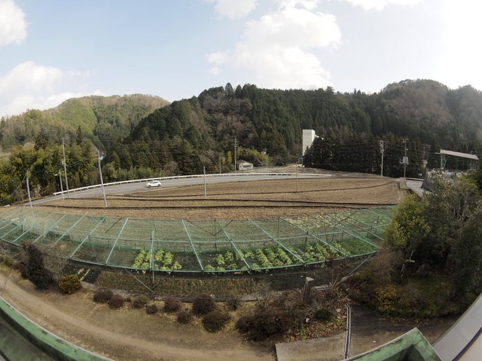 小雨のち晴れ時々曇り_c0116915_18194763.jpg