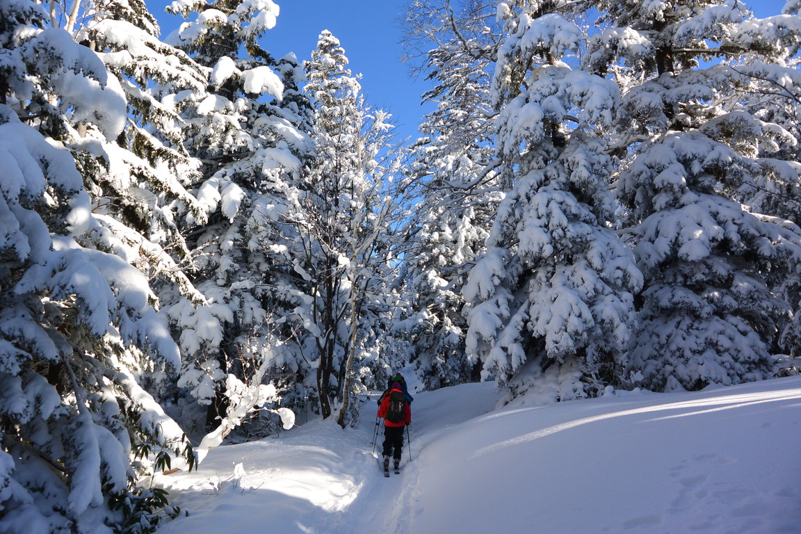 2015年12月　『新雪の山へ、前十勝』　December 2015 \"The beginning of ski season at Mt Tokachi\"_c0219616_22145072.jpg