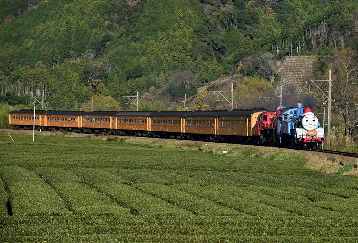 大井川鉄道　SL_c0046520_2129540.jpg