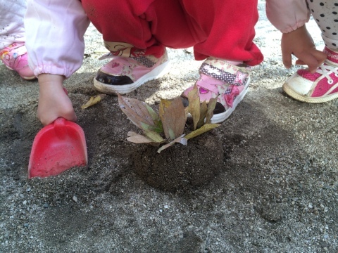 b0142227_14474143.jpeg