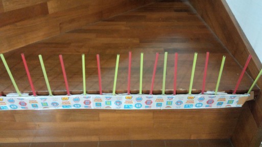 勝手に階段を上らせないようにするには トイプードル スピカの日記