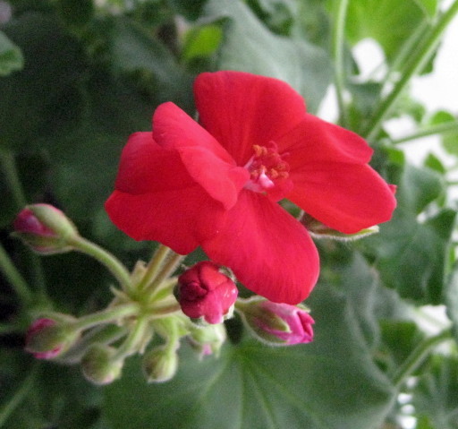 a0329935_07344185.jpg