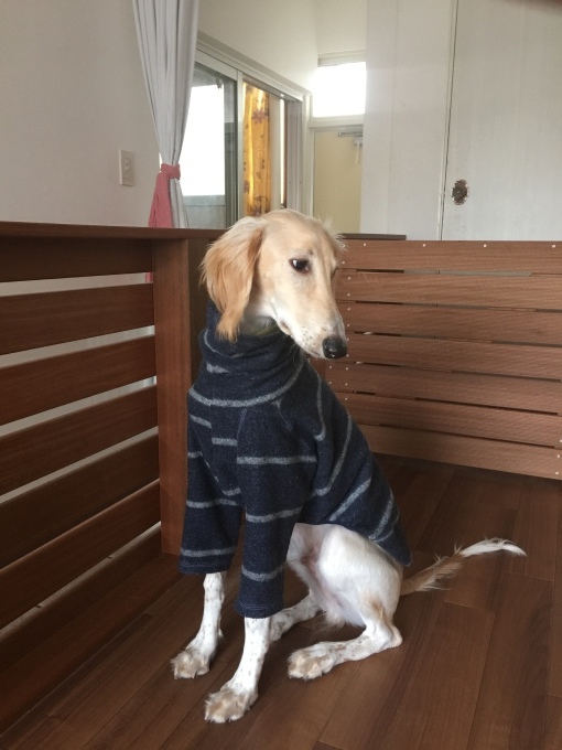 c0358636_06135126.jpeg