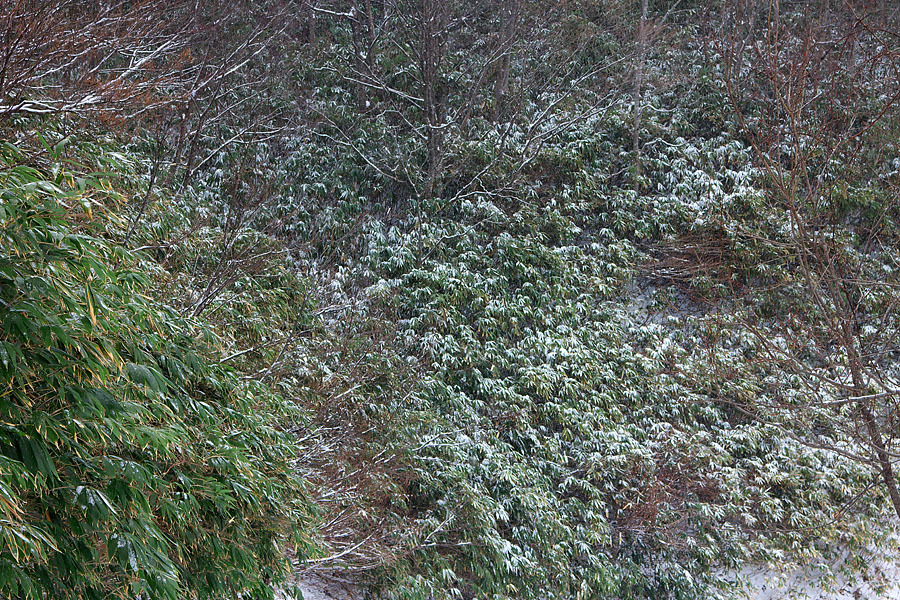 c0067040_18250595.jpg