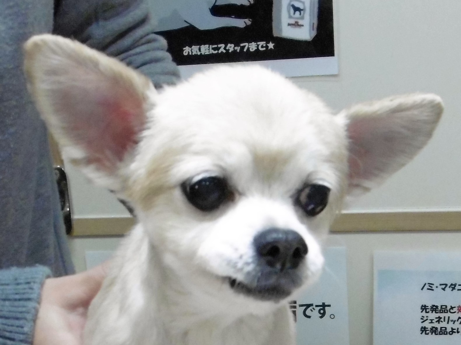 c0174644_1382826.jpg