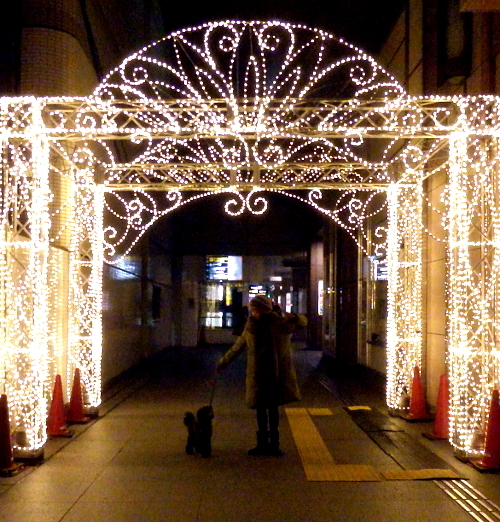 d0026745_03140390.jpg