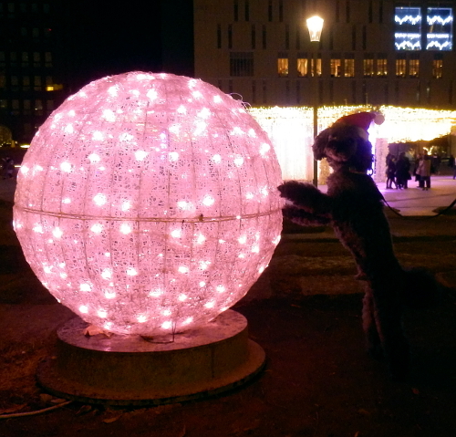 d0026745_03183971.jpg