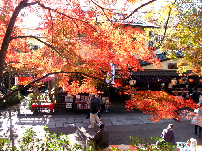 深大寺の続き_e0207545_20105770.jpg