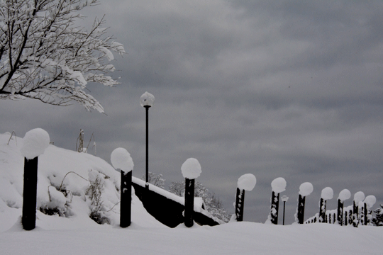 雪景色（1）_c0093046_17264981.gif