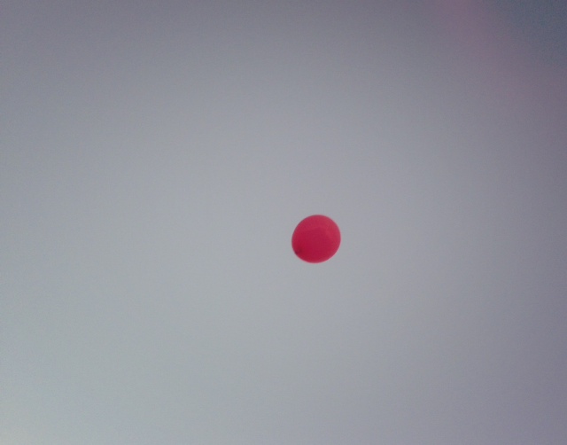f0304452_218156.jpg