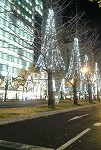クリスマス☆_d0118053_1542447.jpg