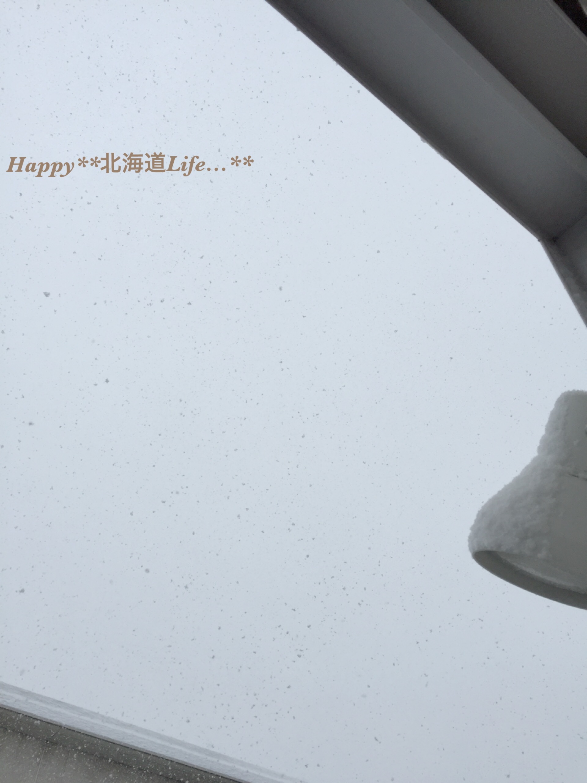 a0337860_22381720.jpeg