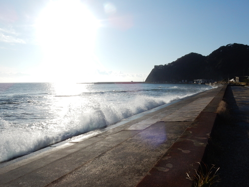 ’15,12,25(金)興津海岸往復3時間の散歩_f0060461_13452437.jpg