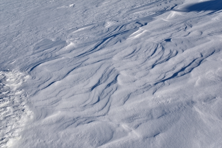 b0281366_15201322.jpg