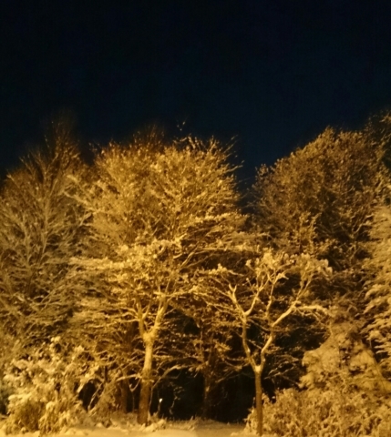 c0311170_20064395.jpg