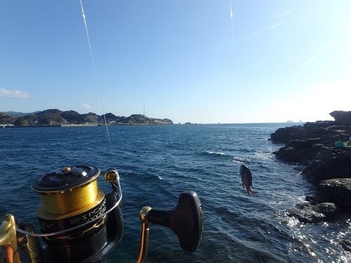 久々の渡船釣行_d0195183_2019958.jpg